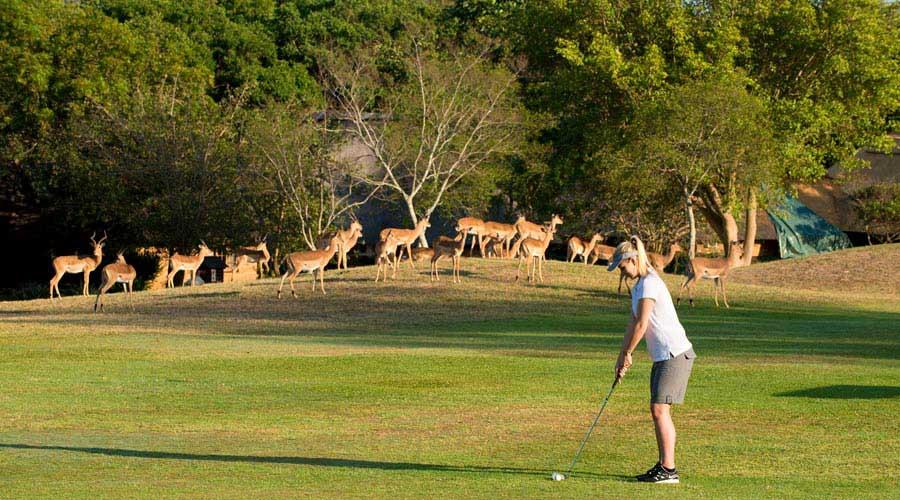 האזיביו Kruger Park Lodge מראה חיצוני תמונה